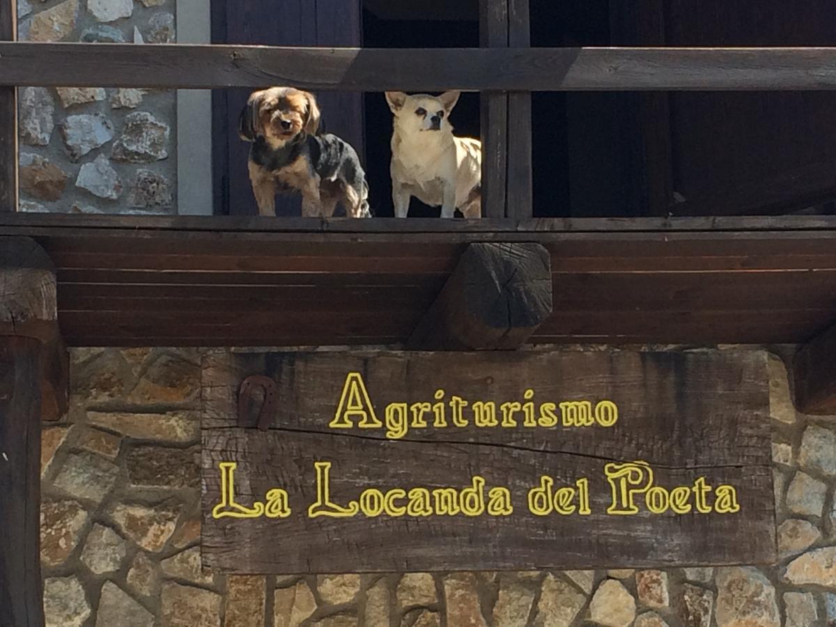 La Locanda Del Poeta Acri Exterior foto